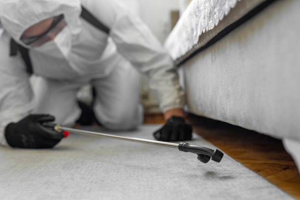 Professional Bed Bug Control technician working in Judith Basin County County, MT